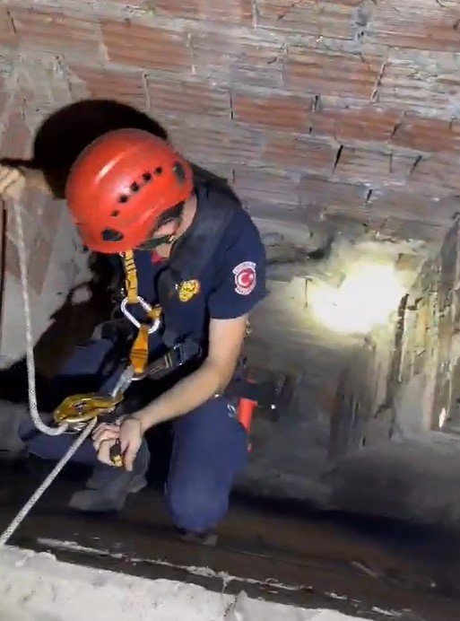 İtfaiye eri iple indi, yavru kedi mahsur kaldığı yerden böyle kurtarıldı