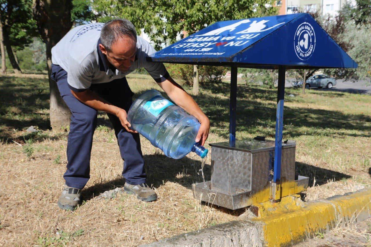 Küçükçekmece’de sokak hayvanları bunaltıcı sıcaklarda da yalnız bırakılmadı