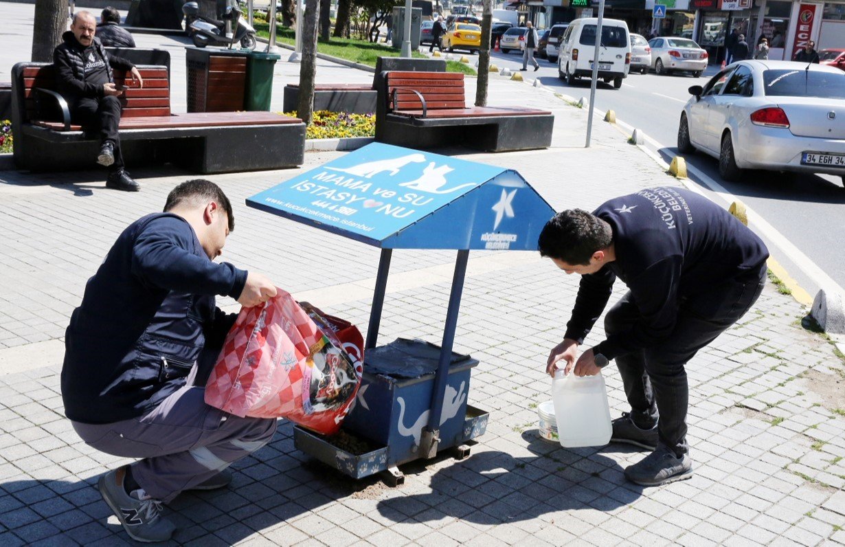 Küçükçekmece’de sokak hayvanları bunaltıcı sıcaklarda da yalnız bırakılmadı