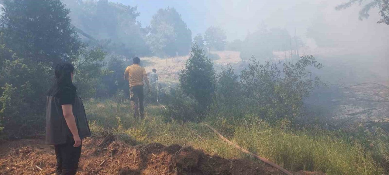 Kütahya’da çıkan orman yangını kontrol altına alındı