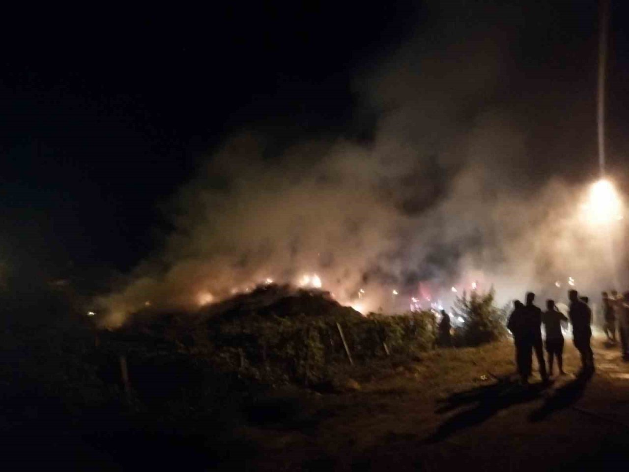 Manisa’da 15 bin balya saman kül oldu