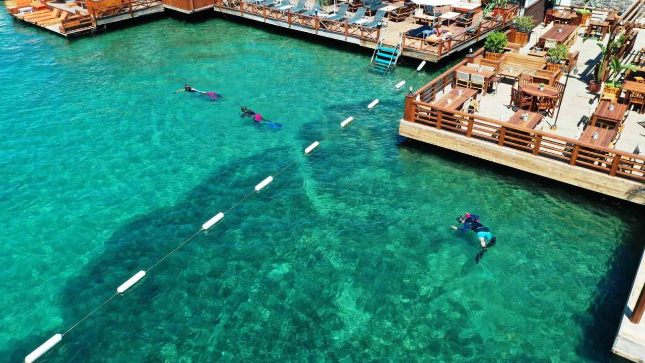 Deniz dibinden çıkanlar vatandaşları şok etti