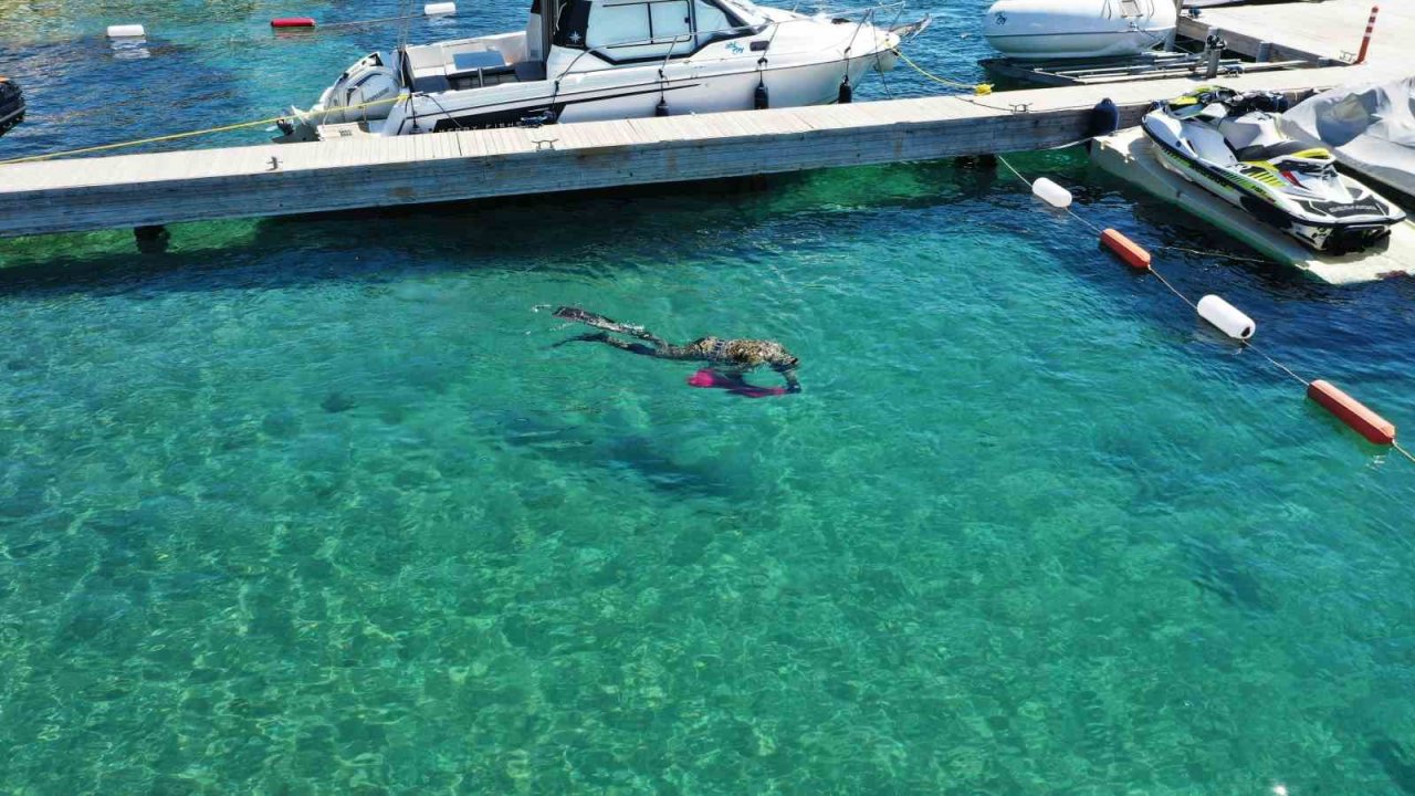 Deniz dibinden çıkanlar vatandaşları şok etti