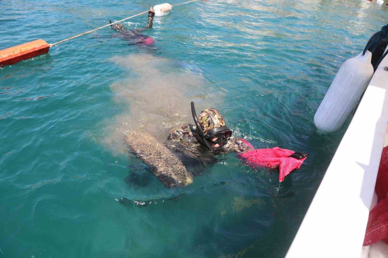 Deniz dibinden çıkanlar vatandaşları şok etti