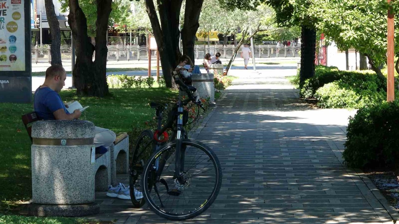 Ordu’da afetin izleri silindi, hayat normale döndü