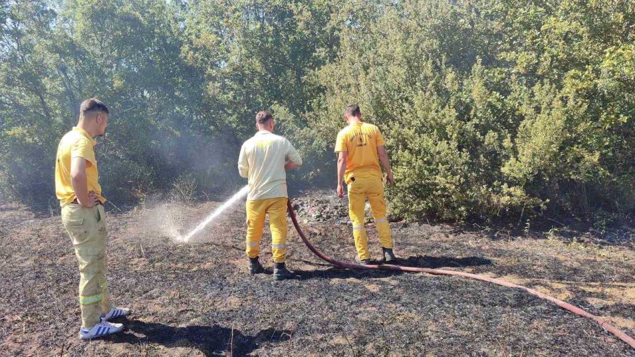 Tarla yangını büyümeden söndürüldü