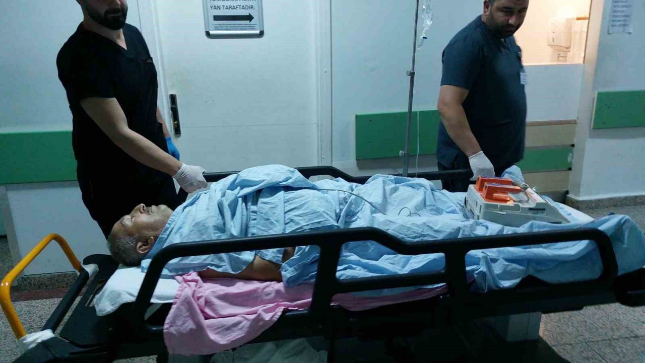 Sokak kedilerini kovduğu için bıçaklı saldırıda ağır yaralandı