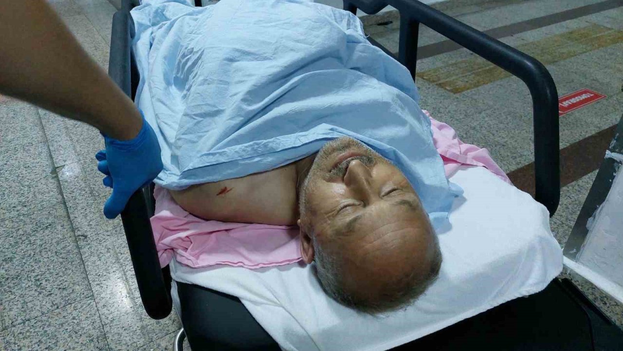 Sokak kedilerini kovduğu için bıçaklı saldırıda ağır yaralandı