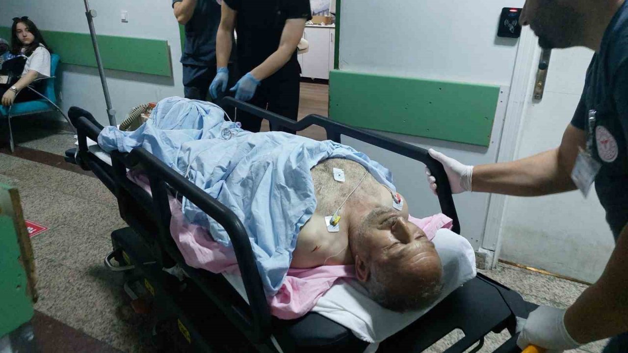 Sokak kedilerini kovduğu için bıçaklı saldırıda ağır yaralandı