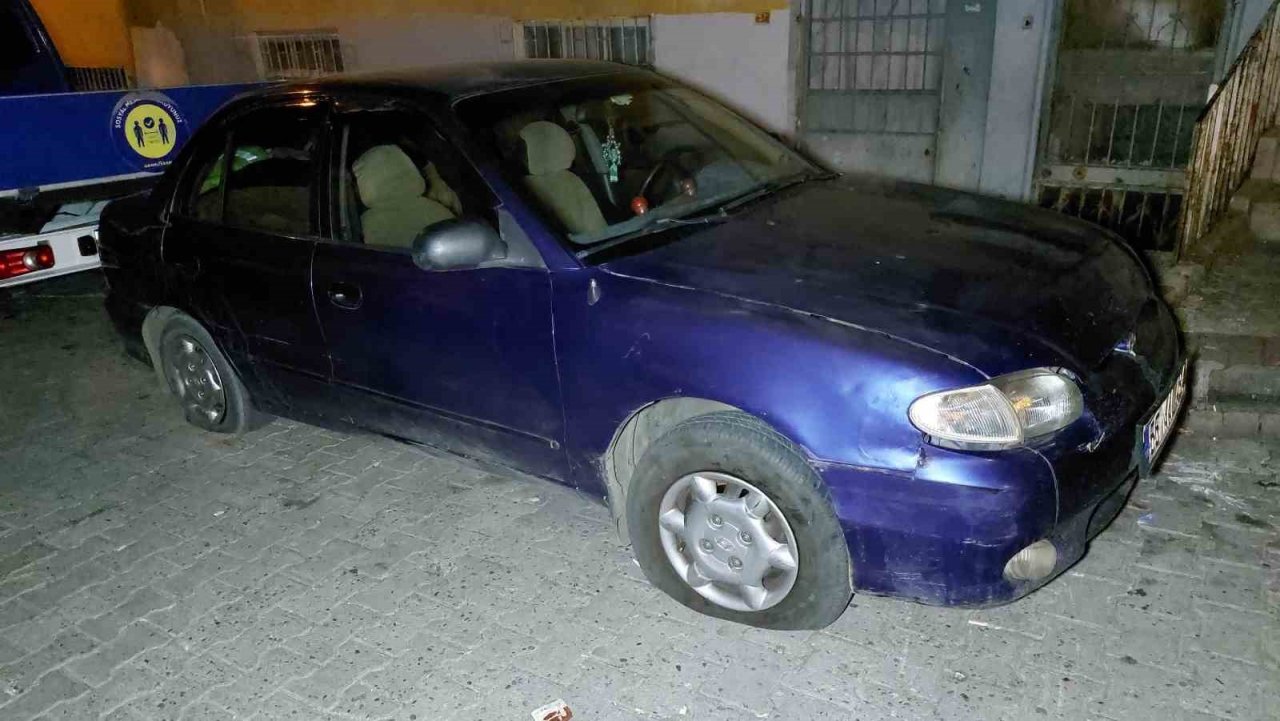 Sokak kedilerini kovduğu için bıçaklı saldırıda ağır yaralandı