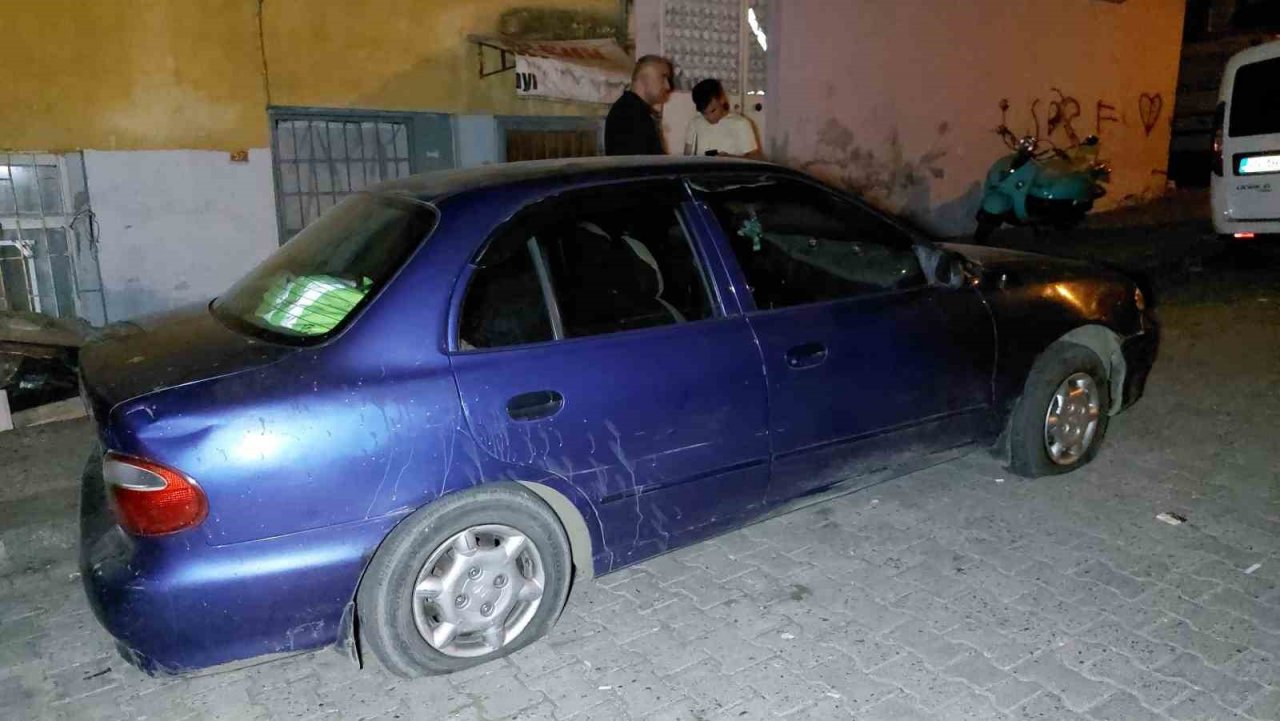 Sokak kedilerini kovduğu için bıçaklı saldırıda ağır yaralandı