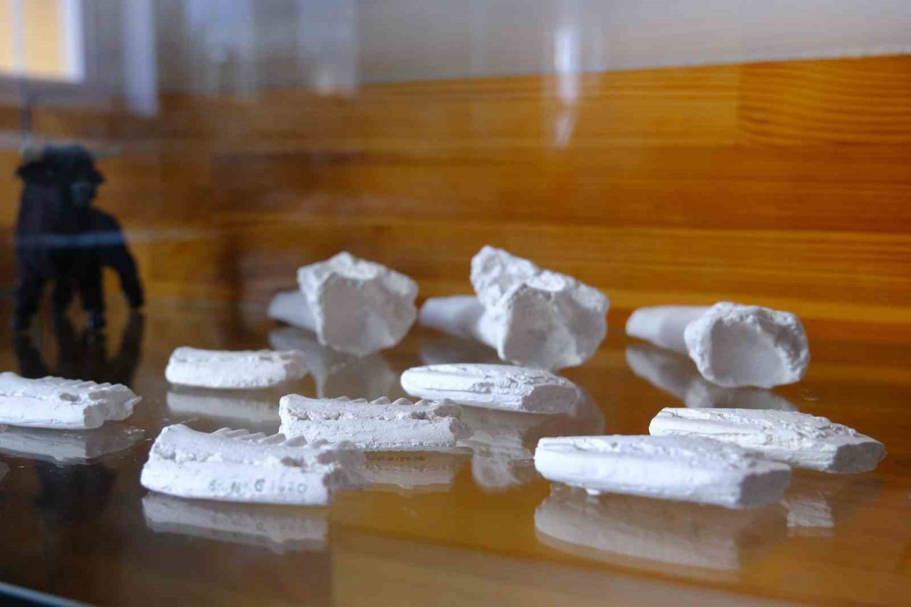 Yol çalışmalarında bulundu, Anadolu’nun milyonlarca yıllık geçmişine ışık tutuyor