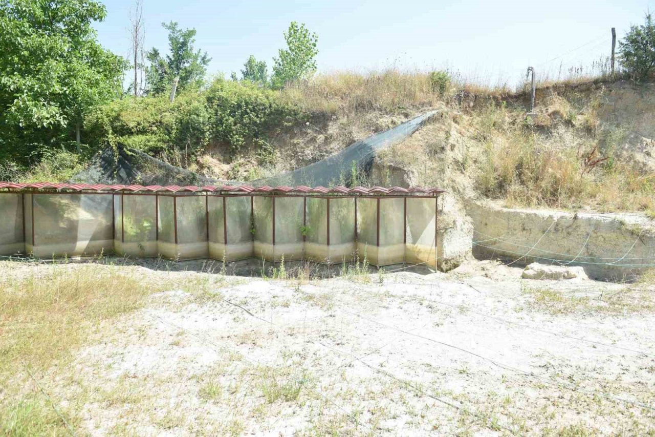 Yol çalışmalarında bulundu, Anadolu’nun milyonlarca yıllık geçmişine ışık tutuyor