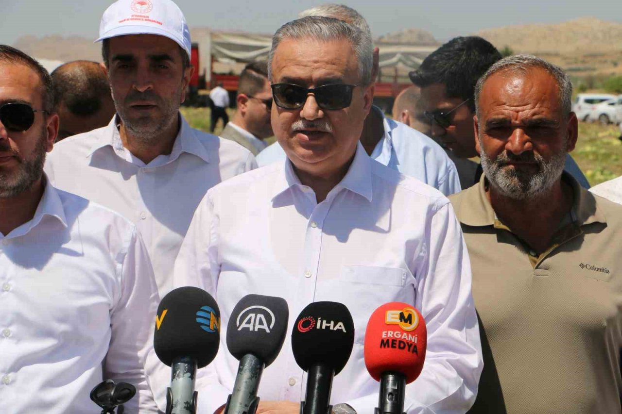 Diyarbakır’da karpuz hasadı başladı