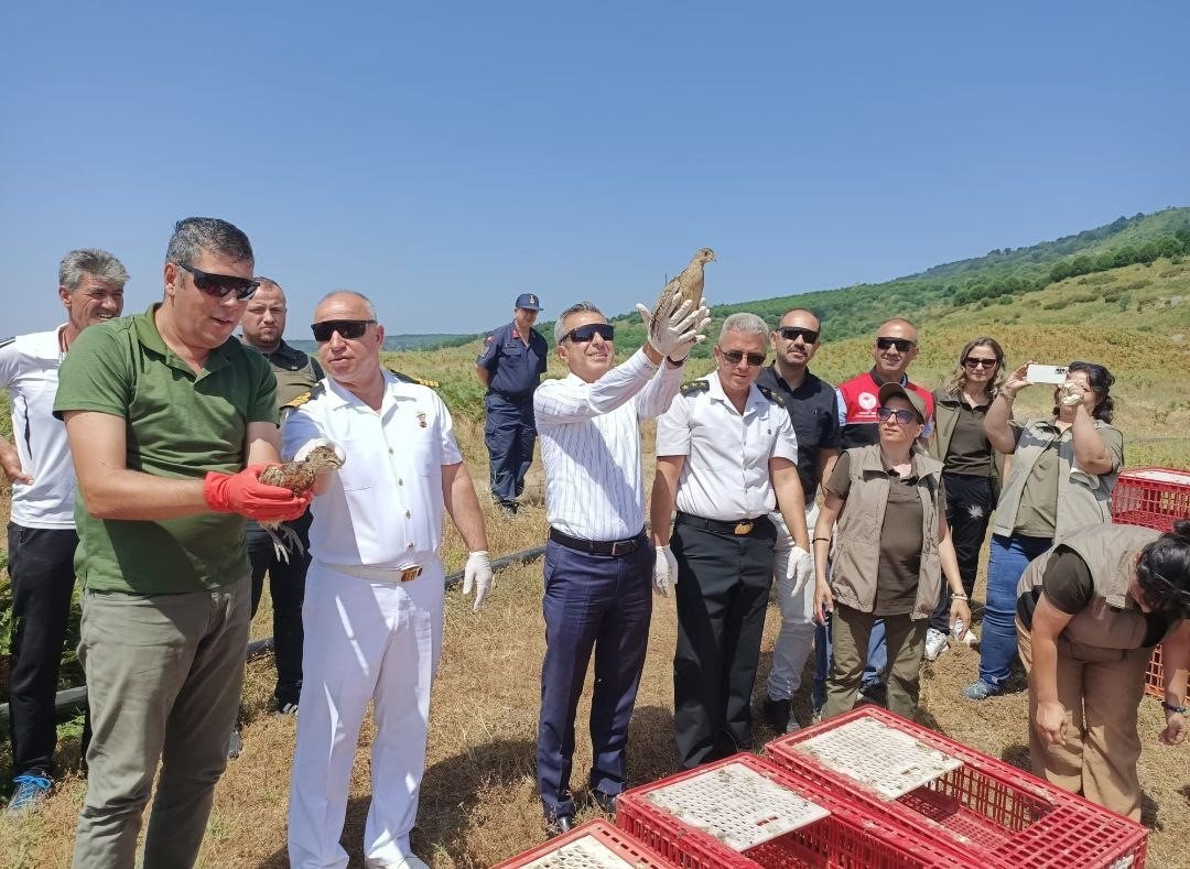 Erdek’te 350 sülün ve keklik doğayla buluştu