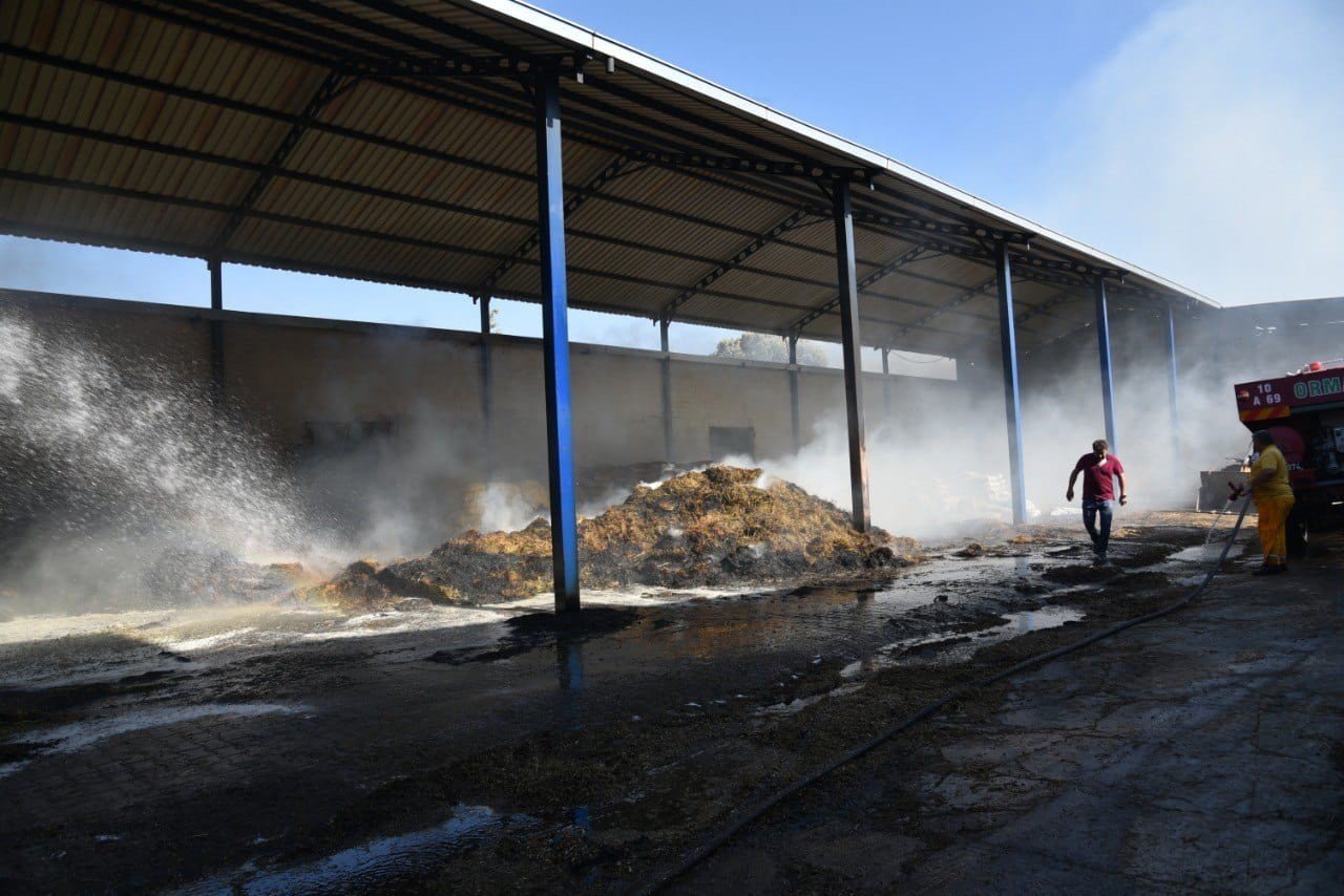 Hayvan çiftliğindeki saman yangını korkuttu