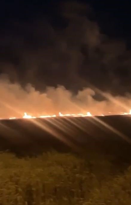 İstanbul’da buğday tarlasında yangın çıktı