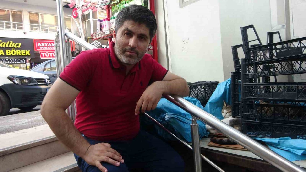 Girdiği tavanda mahsur kalan haylaz kedi led aydınlatma sökülerek kurtarıldı