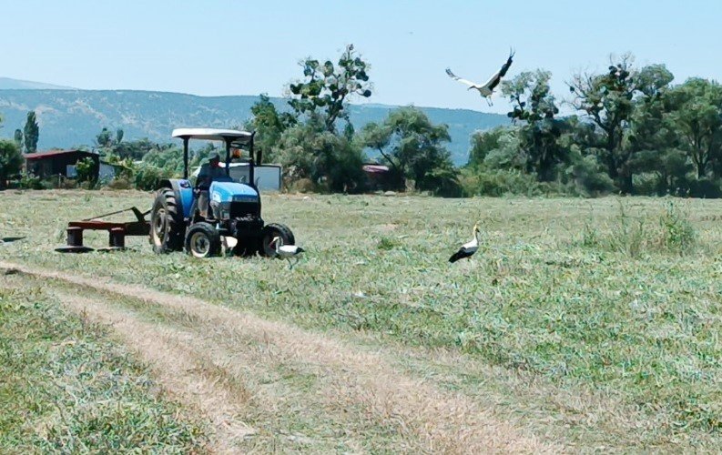 Tavşanlı’da mera alanlarında temizlik ve ot kesimi yapıldı