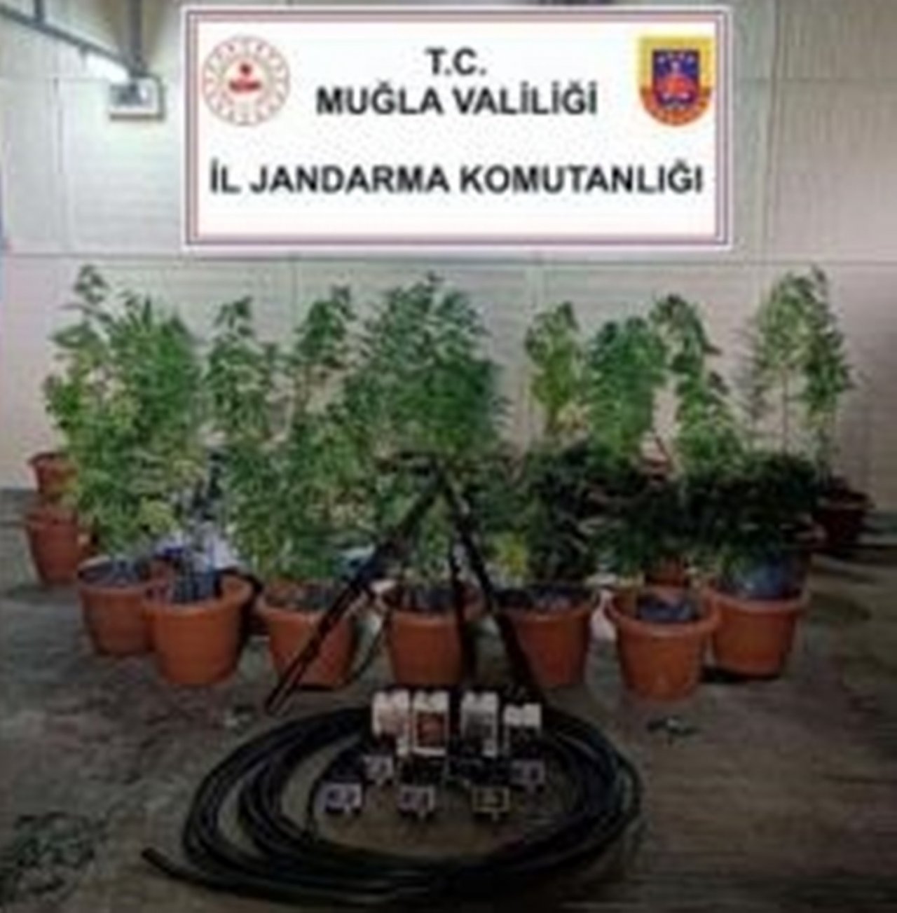 Muğla’daki uyuşturucu operasyonlarında 27 şüpheli gözaltına alındı