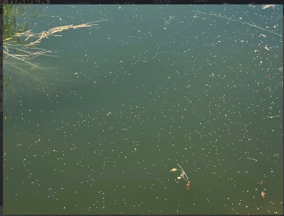 Sivrisineklere drone ile havadan çözüm