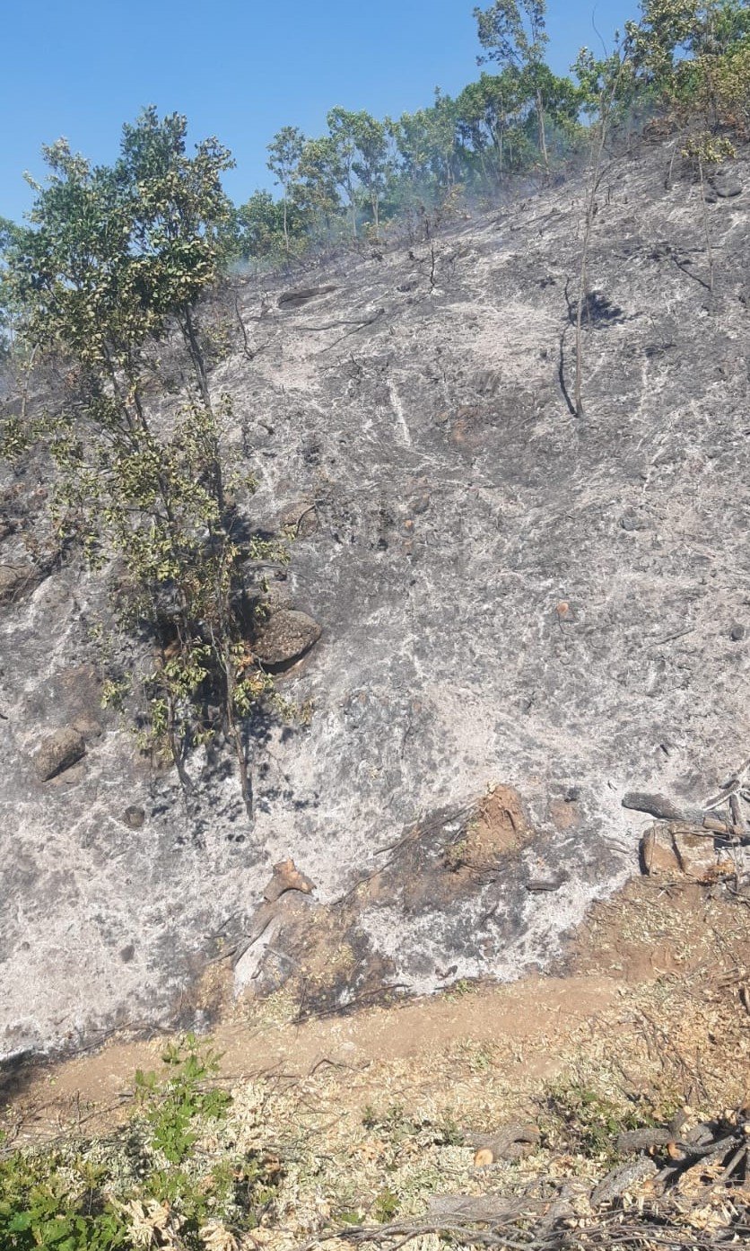Tunceli’deki yangın, büyümeden söndürüldü