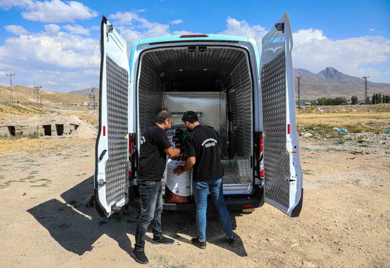 Van Sahipsiz Hayvanlar Birliği sokak hayvanları için çalışıyor