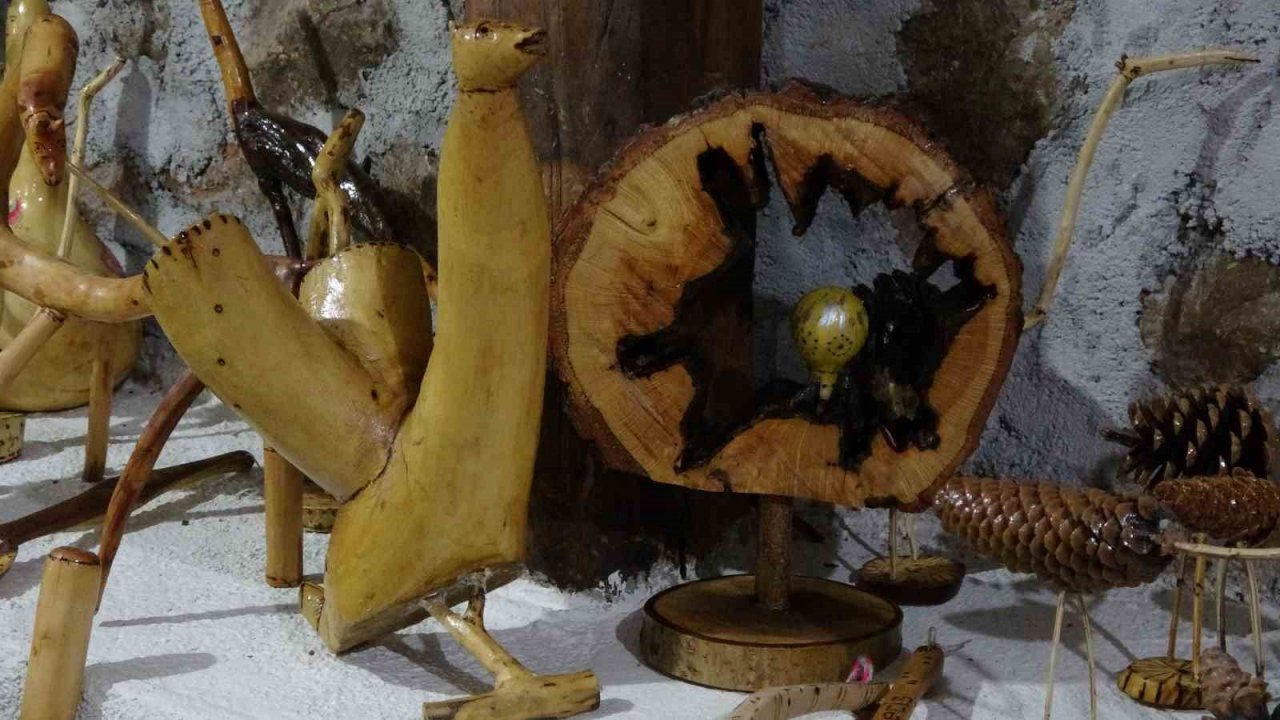 Kurumuş ağaç dallarını ve köklerini sanat eserine dönüştürüyor