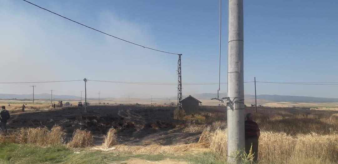 Altıntaş’ta çıkan yangında 60 dekar hububat ekili alan zarar gördü