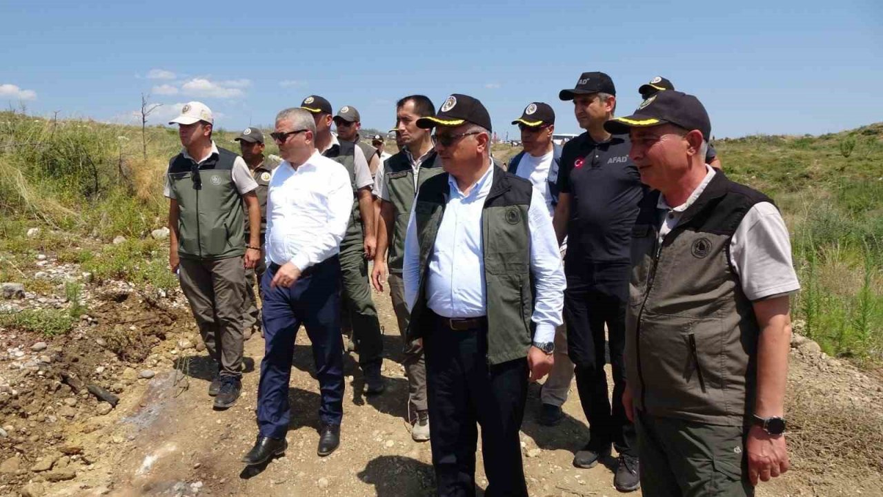 Büyük yangın sonrası Manavgat’ta dikilen 3,5 milyon fidan yeşerdi