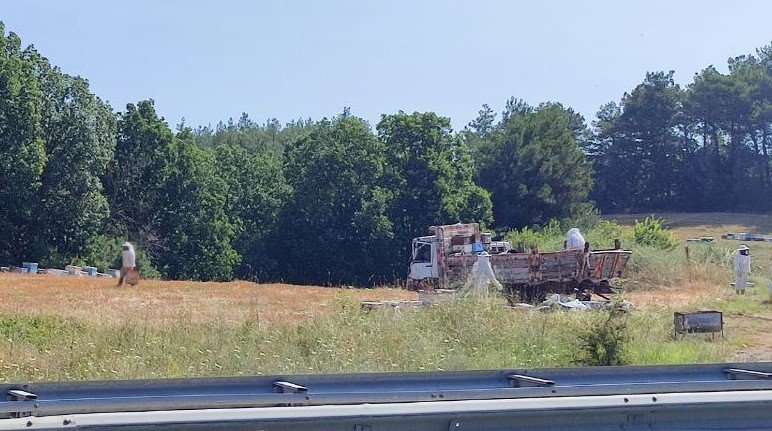 Ekipler 4 ölümlü kazaya arıcı kıyafeti giyerek müdahale etti