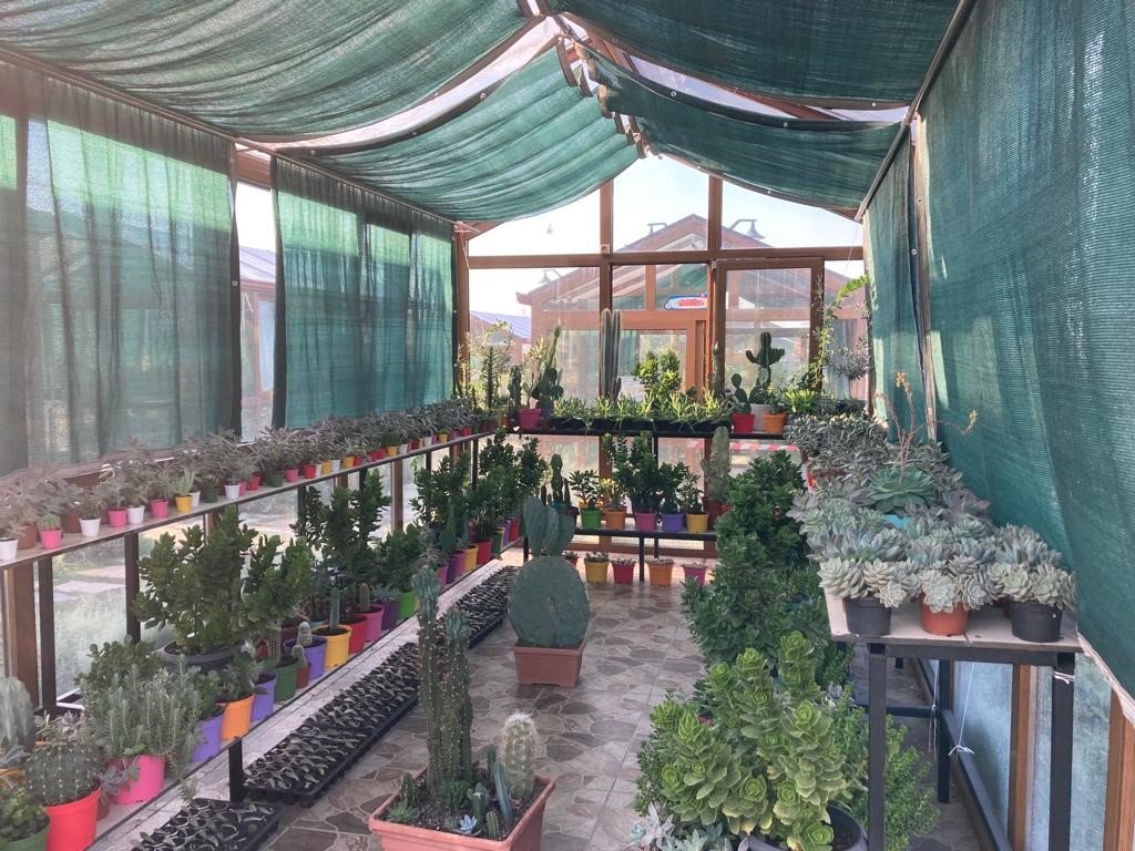 Endemik Vadiyi yabancı öğrenciler ziyaret etti