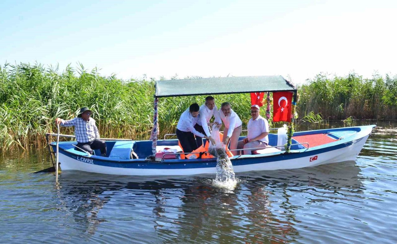 Denizli’de 25 su kaynağına 765 bin sazan yavrusu bırakıldı