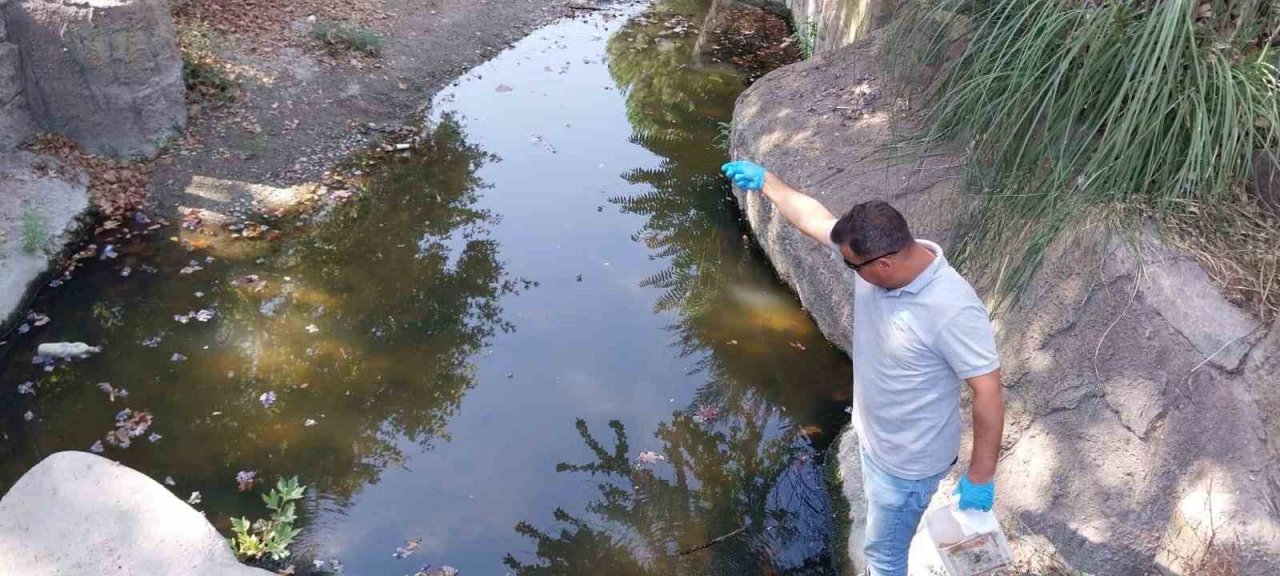 Söke Belediyesi’nin mücadelesi sonuç veriyor