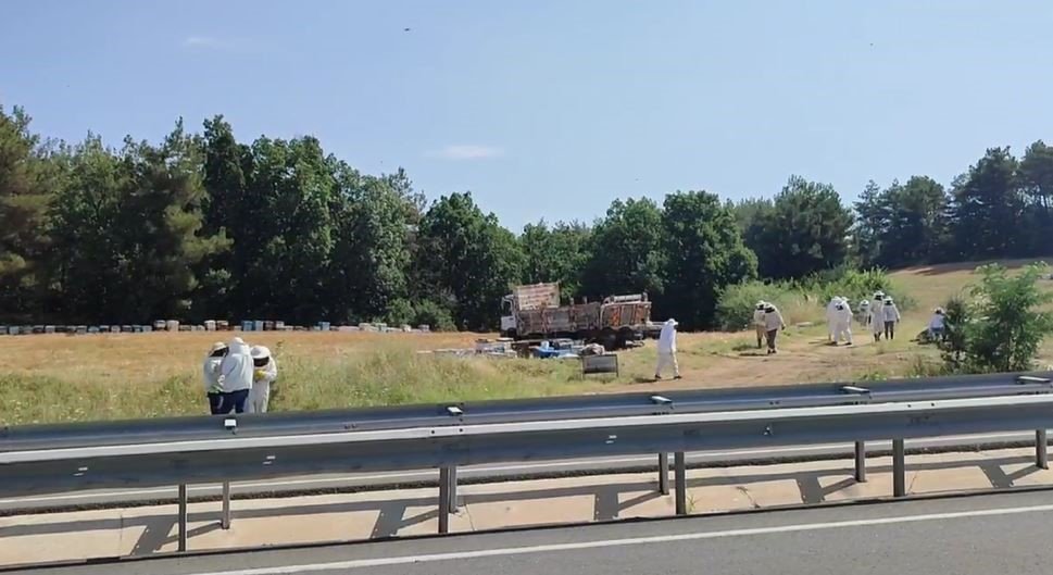 Ekipler 4 ölümlü kazaya arıcı kıyafeti giyerek müdahale etti