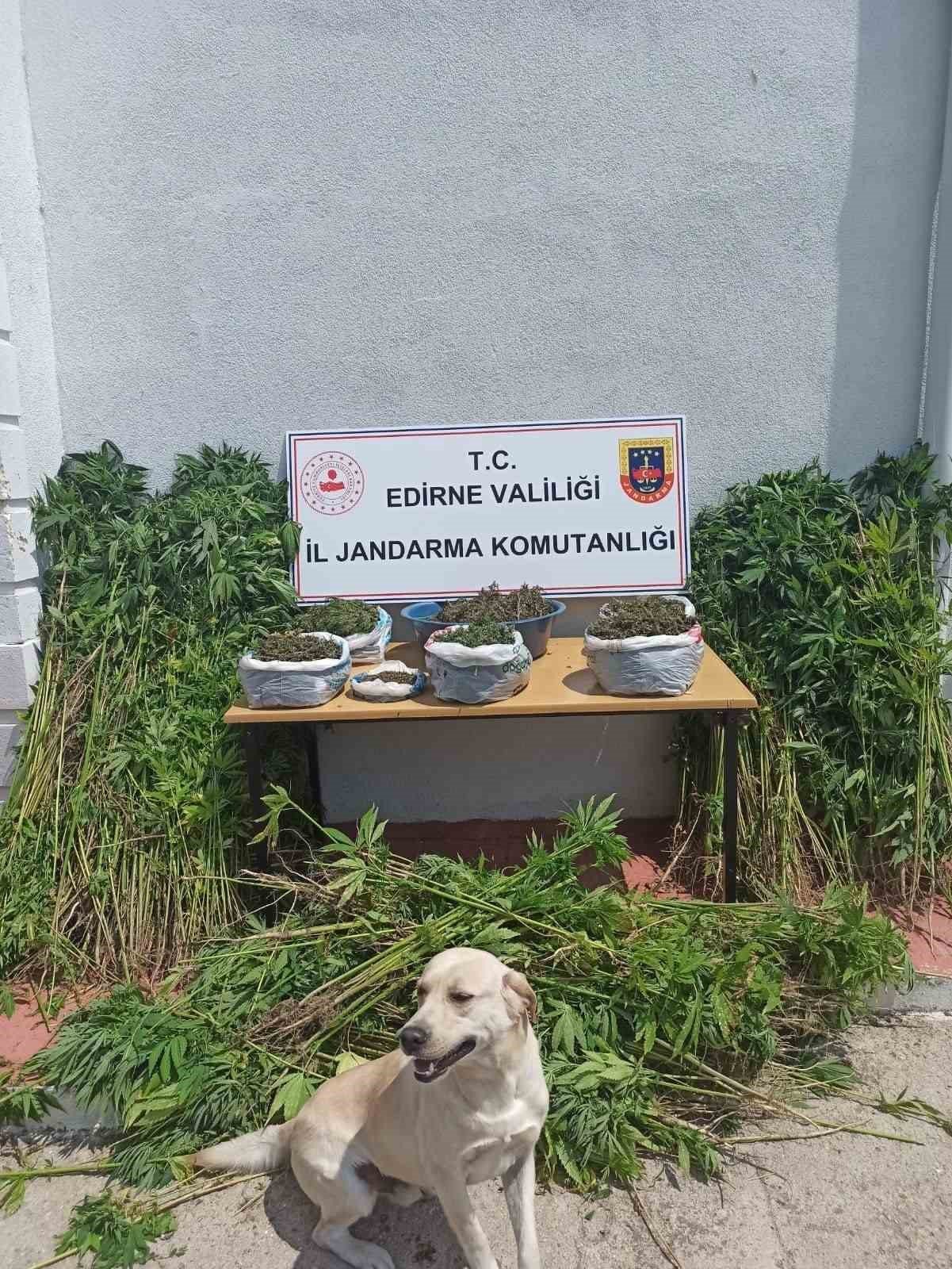 Edirne’de uyuşturucu ve kaçakçılık operasyonu: 6 gözaltı