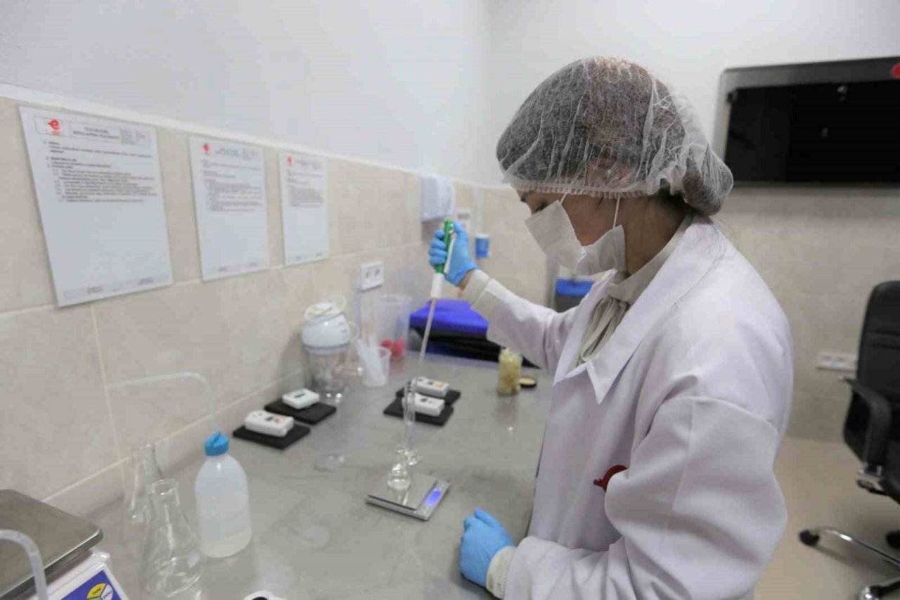 Efeler’den Türkiye’ye örnek oluyor