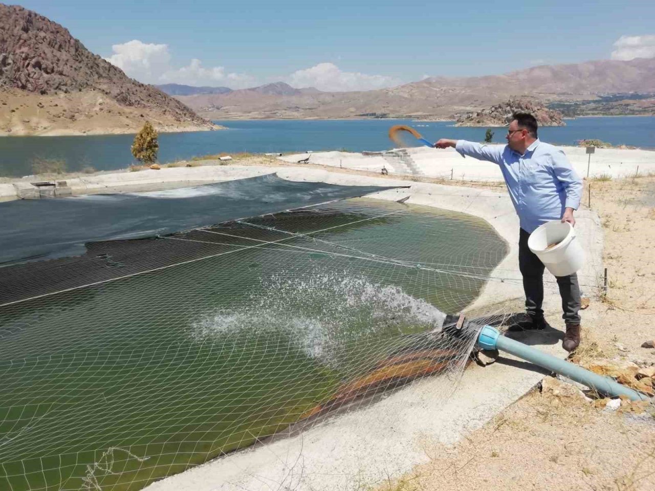 Elazığ’da üretilen milyonlarca balık göl ve barajlara salınıyor