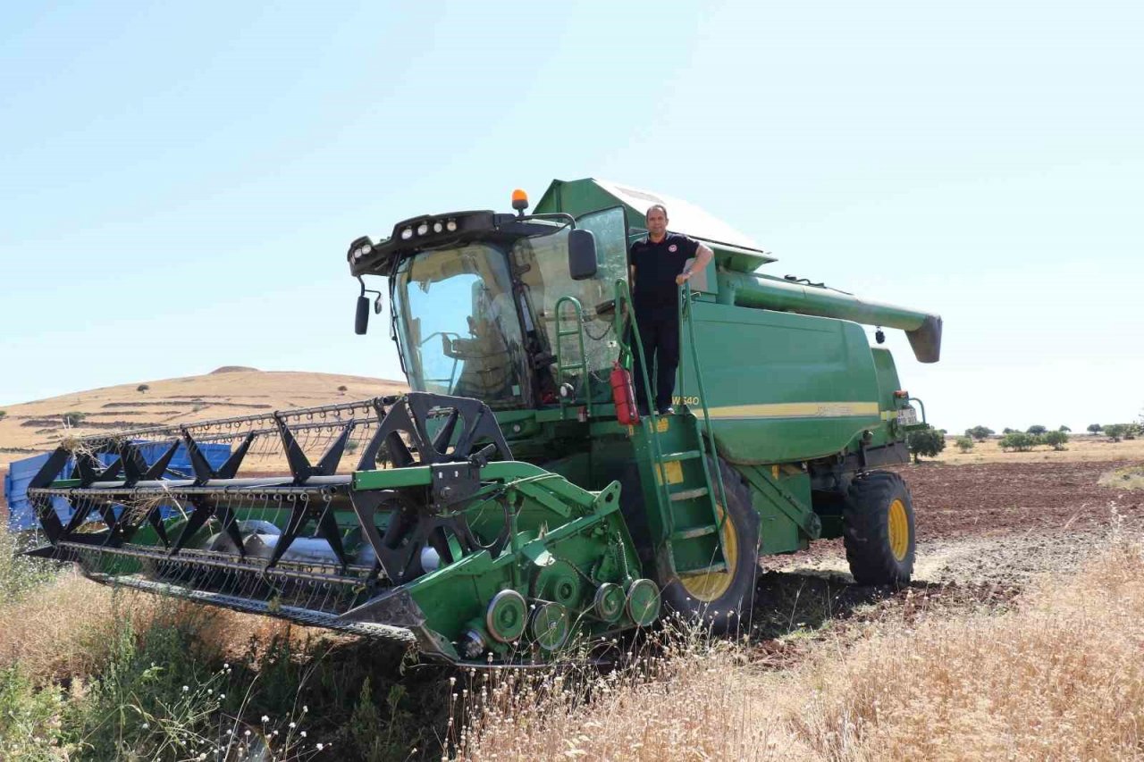 Elazığ’da nohut hasadı