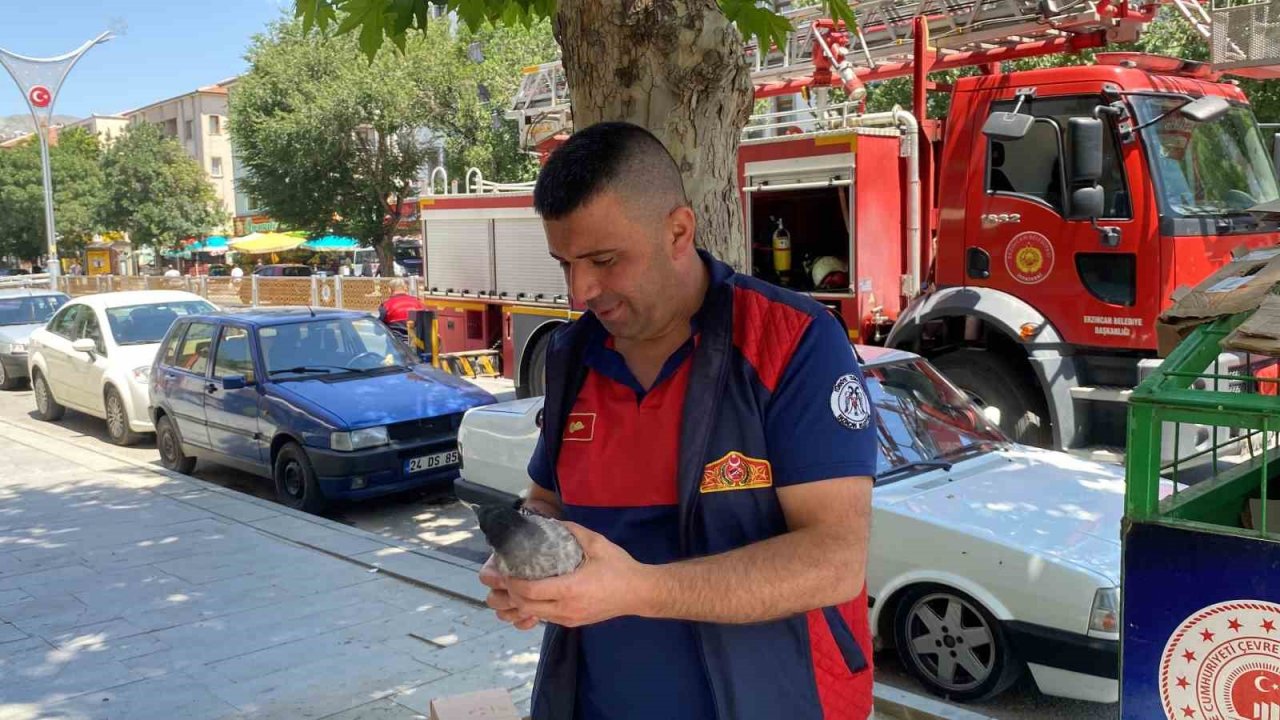 Yere düşen yavru kargayı yuvasına koyan itfaiye ekipleri, vatandaşları anne karganın saldırısından kurtardı