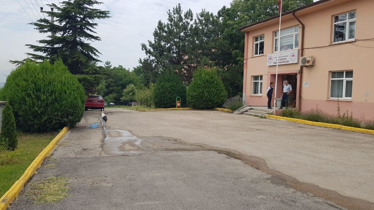 Yaralı Leylek tedavisinin yapıldığı Tarım Müdürlüğü bahçesinden ayrılmıyor
