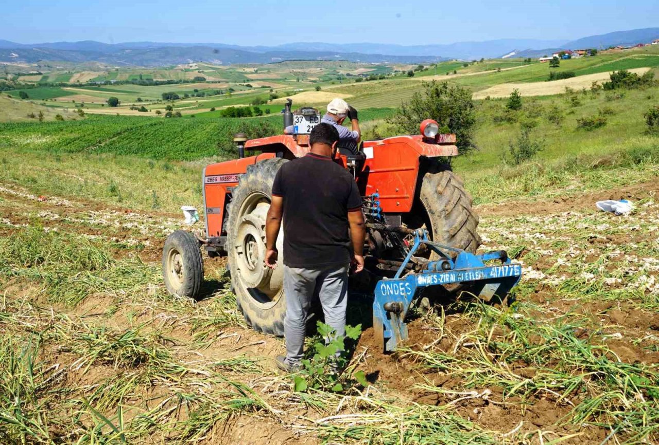 Dijital pazara giren Taşköprü sarımsağı, Türkiye’nin her yerine gönderiliyor