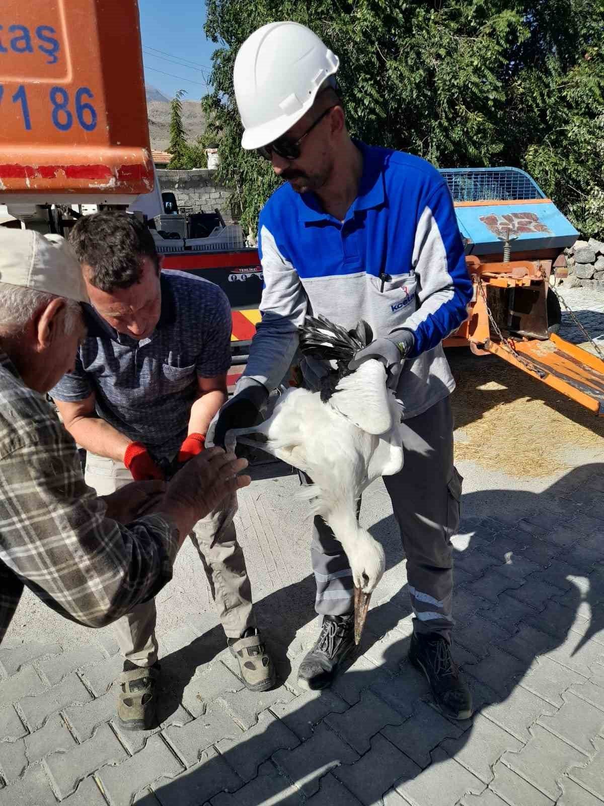 Ayağına ip bağlanan yavru leylek kurtarıldı