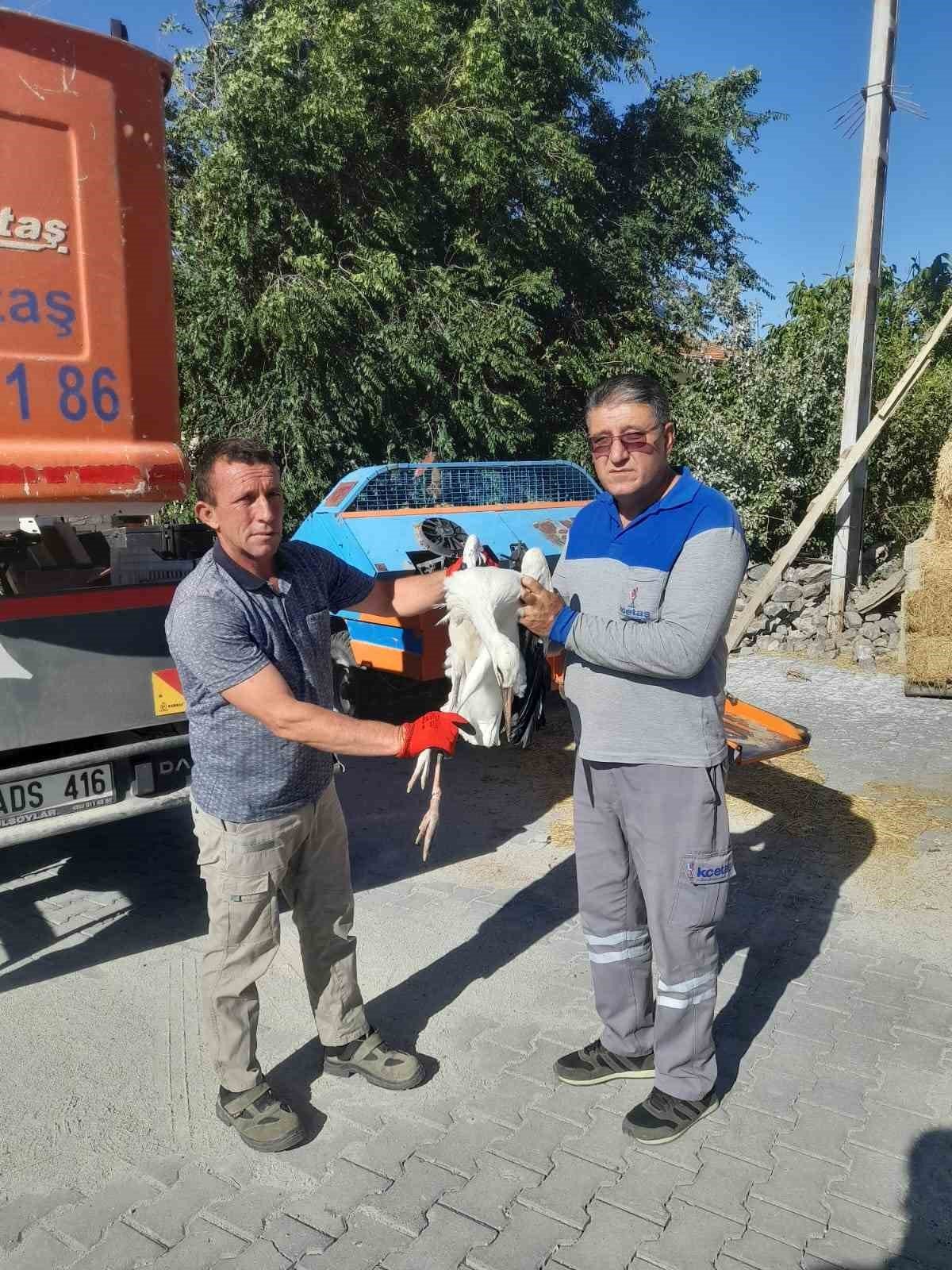 Ayağına ip bağlanan yavru leylek kurtarıldı