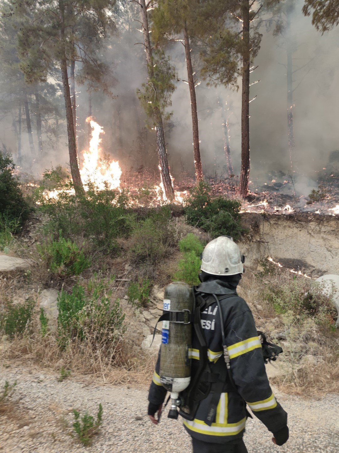 İzmarit deyip geçmeyin