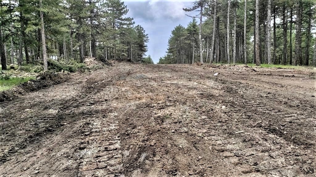 Kütahya’da yangınlarıyla mücadelede yeni savunma hatları oluşturuluyor