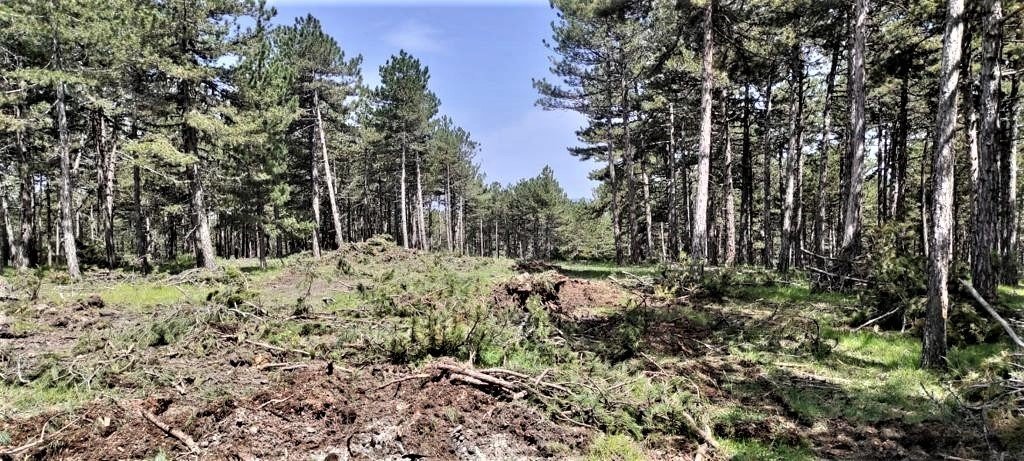 Kütahya’da yangınlarıyla mücadelede yeni savunma hatları oluşturuluyor