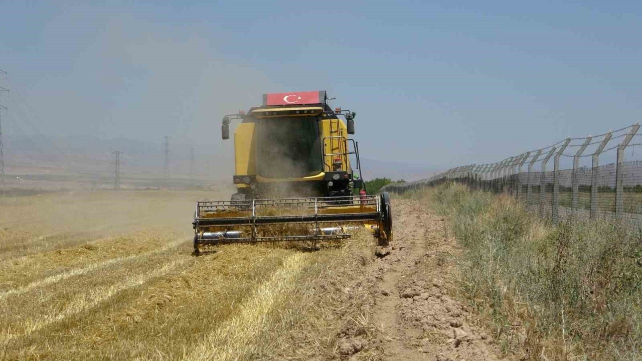 Arguvan’da buğday hasadında sona gelindi