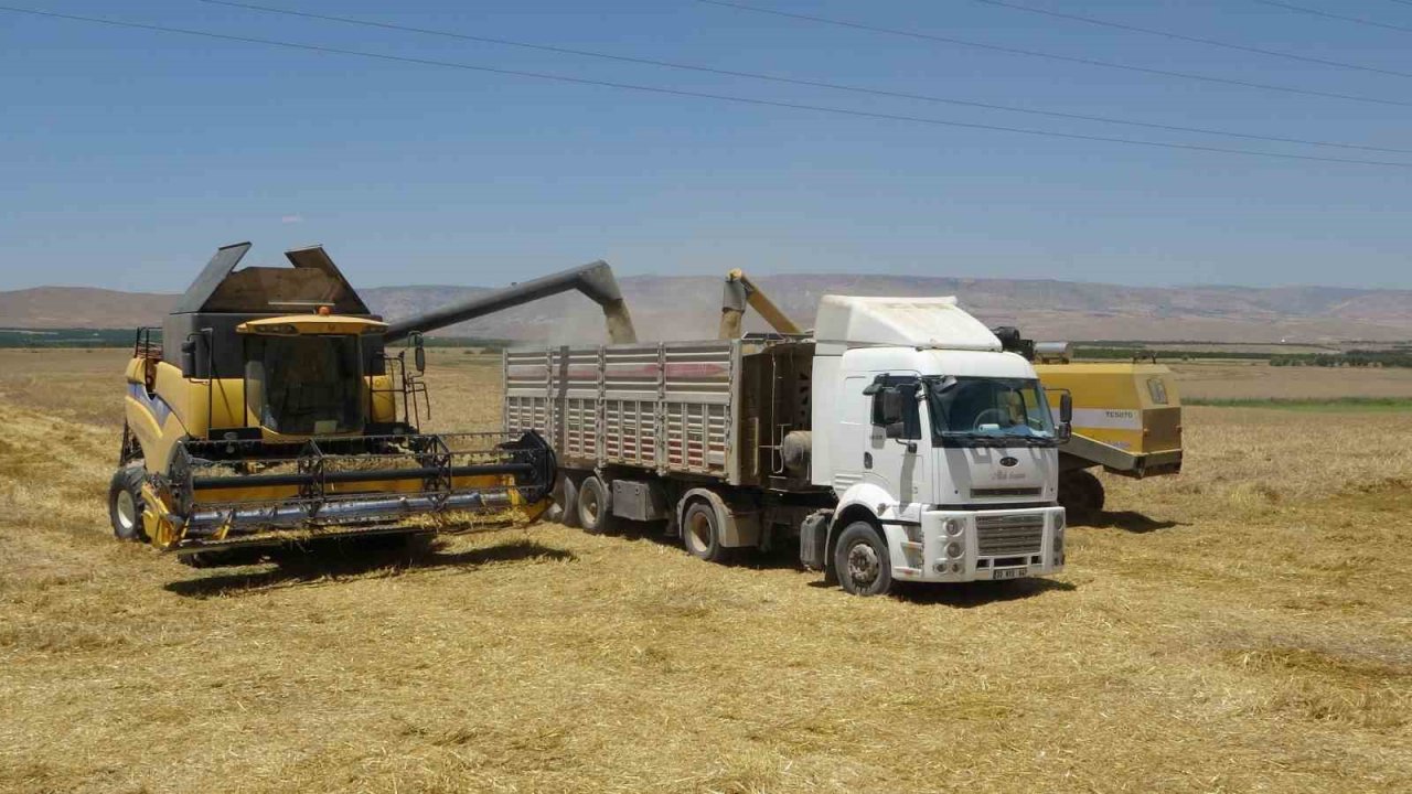 Arguvan’da buğday hasadında sona gelindi