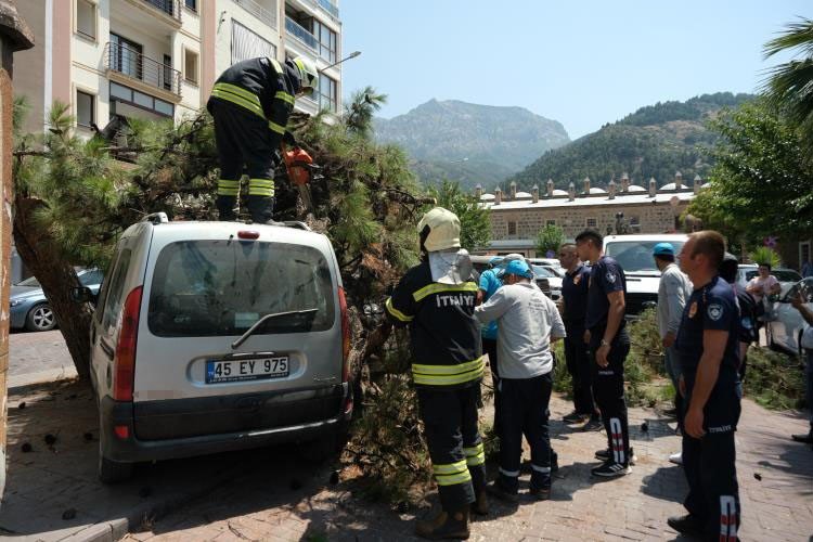 Devrilen ağaç 2 araca hasar verdi